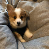 婚姻调解、挽救咨询学员张先生：第三者分离+婚姻修复服务